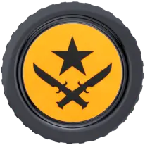 T Coin